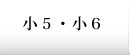 5E6